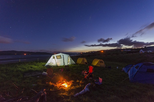 camping, tents, campfire, nature, forest, outdoors