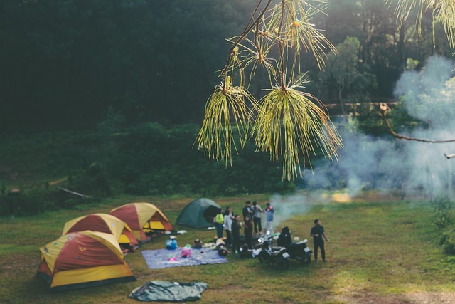 camping-tents-campfire-nature-forest-out-640x480-58617762.jpeg