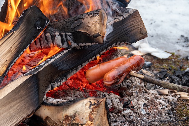 camping, tents, campfire, nature, forest, outdoors