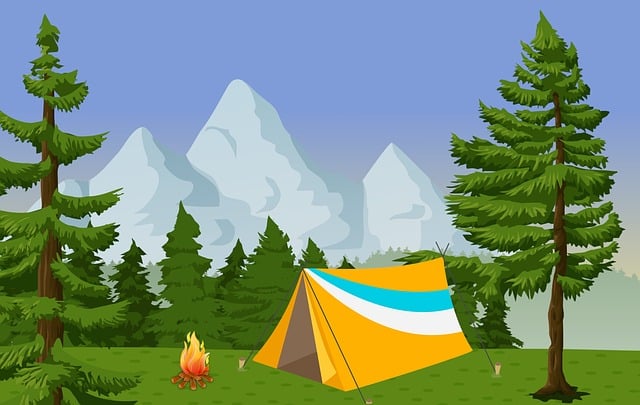 camping, tents, campfire, nature, forest, outdoors