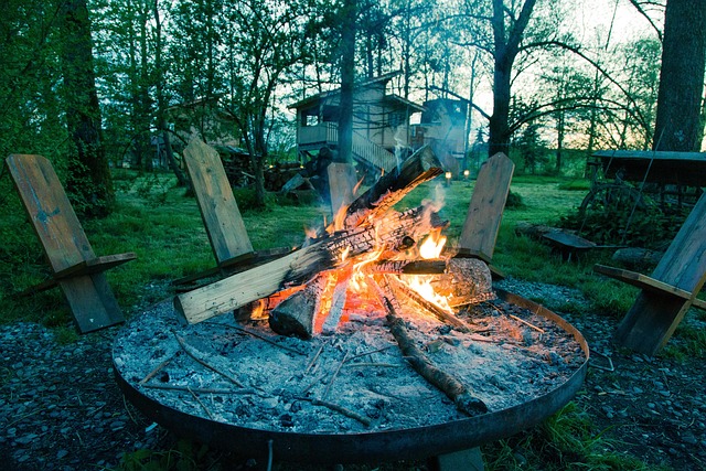 camping, tents, campfire, nature, forest, outdoors