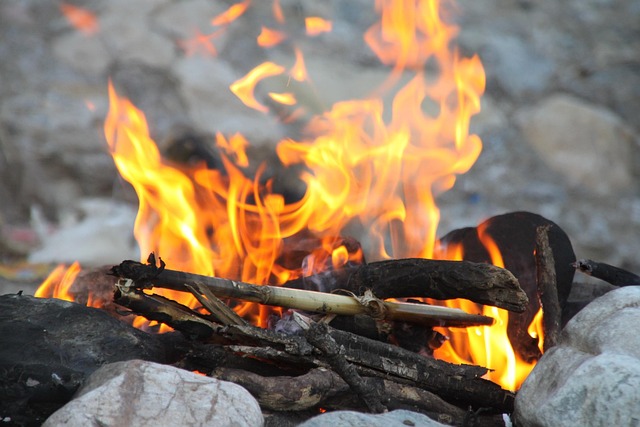 camping-tents-campfire-nature-forest-out-640x480-90574085.jpeg