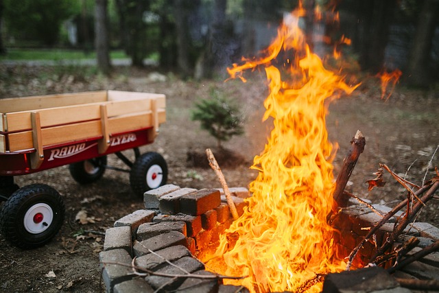 camping, tents, campfire, nature, forest, outdoors