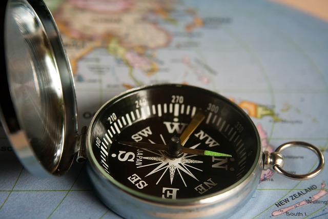 cases, DHS, welfare, navigation, strategies, resources
