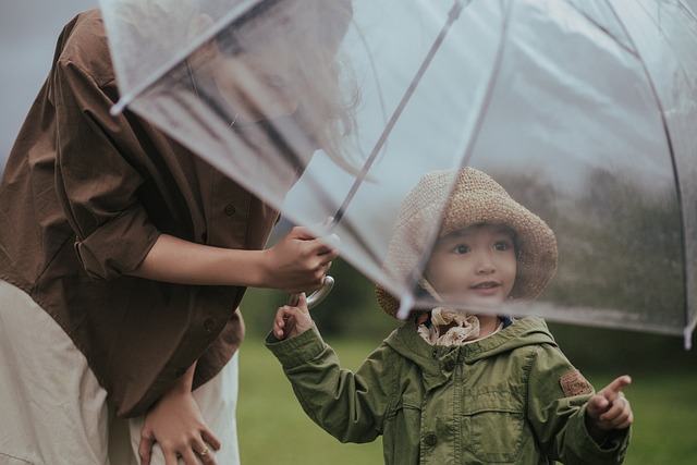 child-welfare-attorney-family-protection-640x480-1811015.jpeg