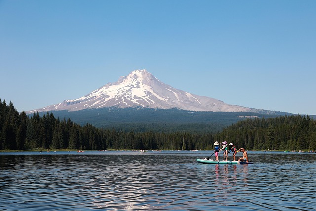 child, welfare, attorney, family, protection, Oregon