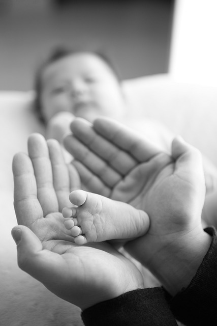 child-welfare-attorney-family-protection-640x480-69588738.jpeg