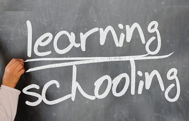 city, university, student housing, rentals, pros cons, college