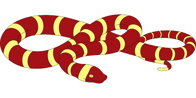 clog, drain, DIY, plunger, snake, cleaning
