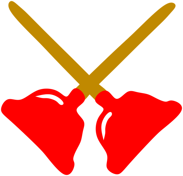 clog, drain, DIY, plunger, snake, cleaning
