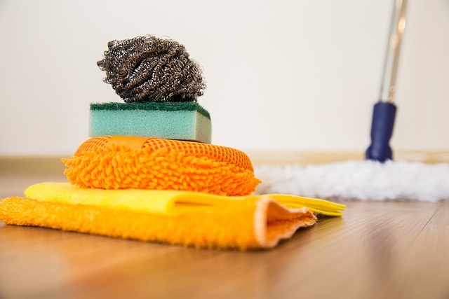 clog, drain, DIY, plunger, snake, cleaning