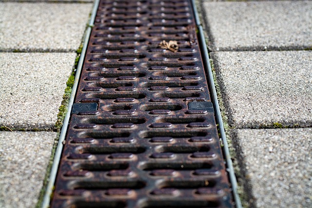 clog, drain, DIY, plunger, snake, cleaning