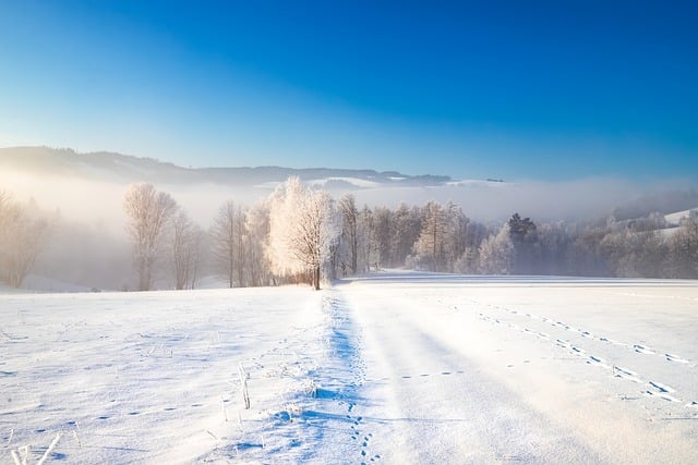 cold