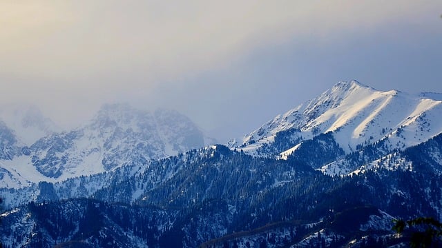 cold