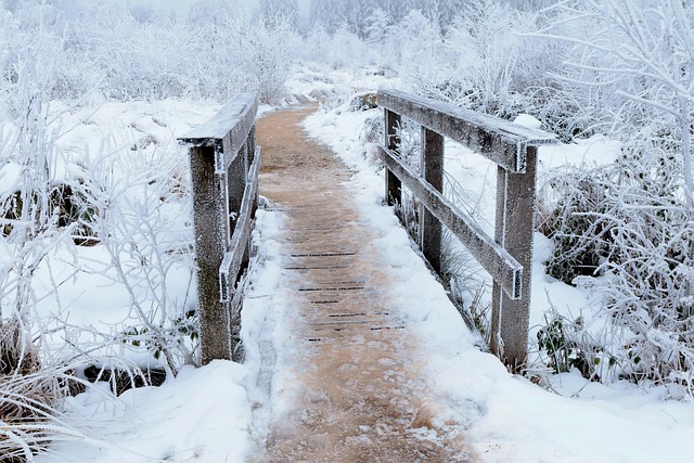 cold