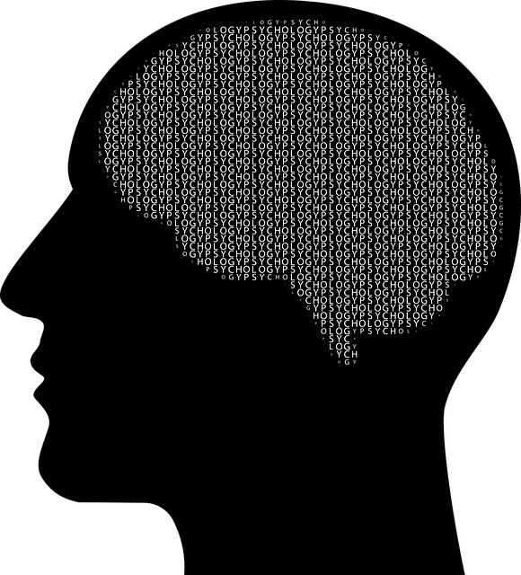 commitment-mental-health-attorney-rights-640x480-34776552.png