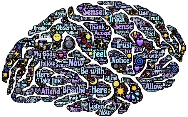 commitment-mental-health-attorney-rights-640x480-4044762.jpeg