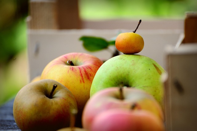 comparison, finance, business, decision, difference, versus
