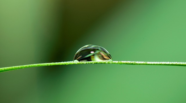conservation, water, save, efficiency, rainwater, irrigation