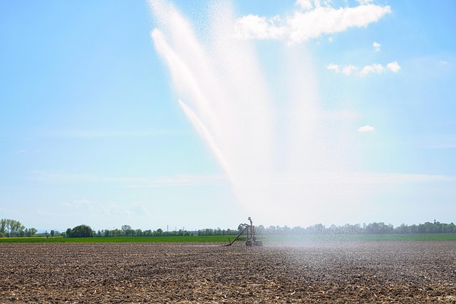 conservation-water-save-efficiency-rainw-640x480-2474773.jpeg