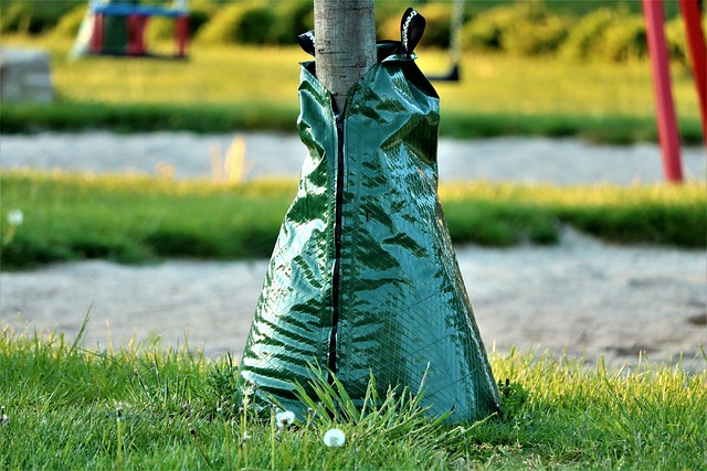 conservation, water, save, efficiency, rainwater, irrigation