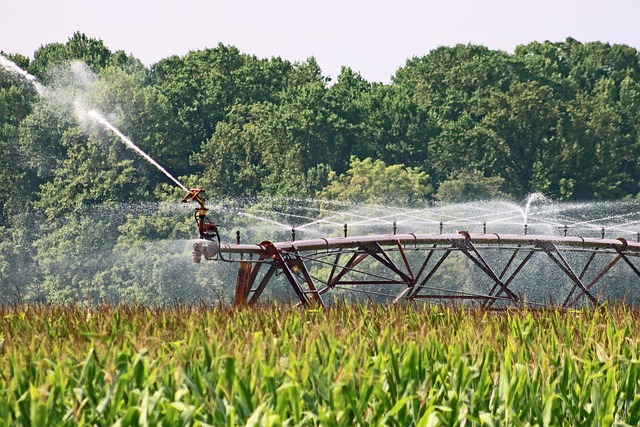 conservation, water, save, efficiency, rainwater, irrigation