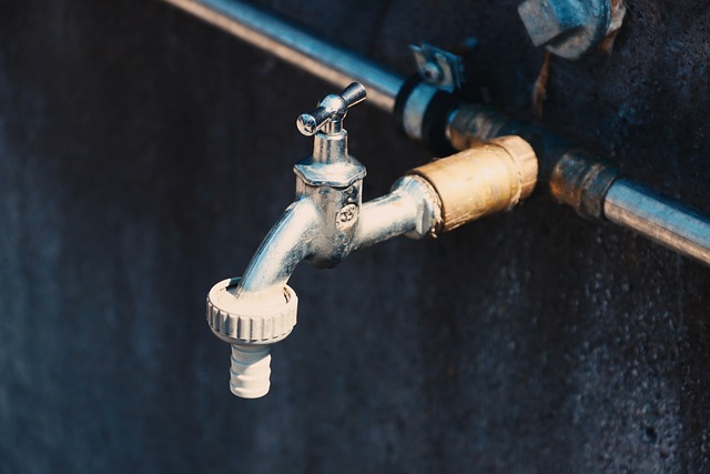 conservation, water, save, efficiency, rainwater, irrigation