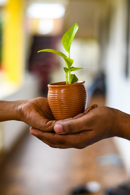 conservation, water, save, efficiency, rainwater, irrigation
