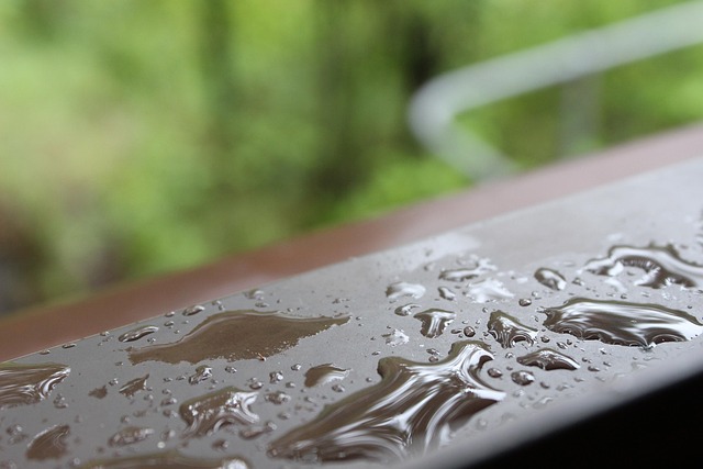 conservation, water, save, efficiency, rainwater, irrigation