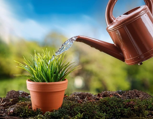 conservation, water, save, efficiency, rainwater, irrigation