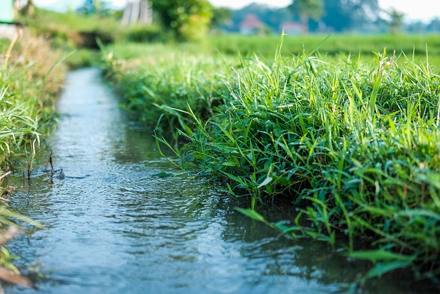 conservation, water, save, efficiency, rainwater, irrigation