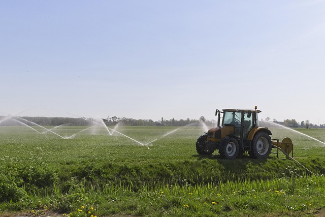 conservation, water, save, efficiency, rainwater, irrigation
