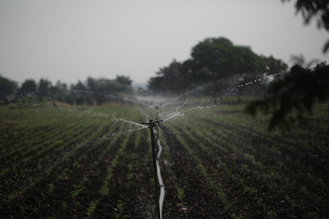 conservation, water, save, efficiency, rainwater, irrigation