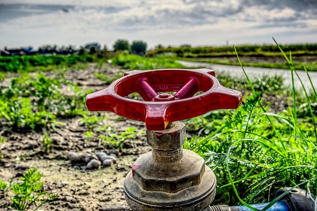 conservation, water, save, efficiency, rainwater, irrigation