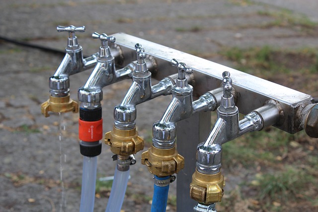 conservation, water, save, efficiency, rainwater, irrigation