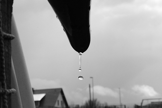 conservation, water, save, efficiency, rainwater, irrigation