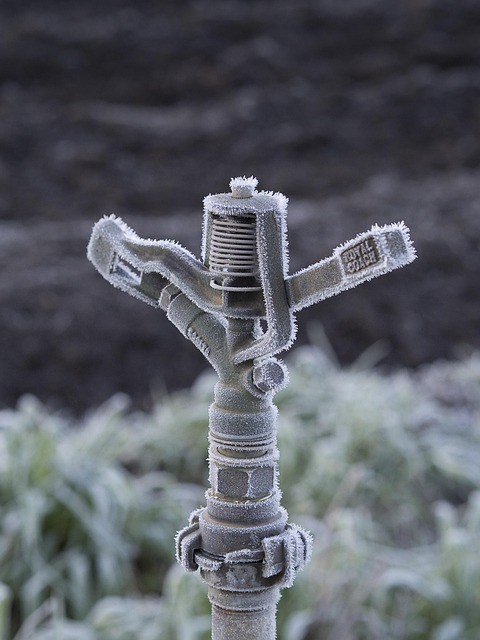 conservation, water, save, efficiency, rainwater, irrigation