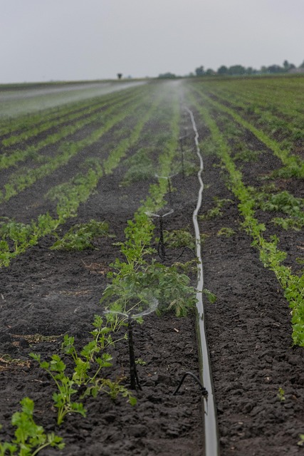 conservation-water-save-efficiency-rainw-640x480-78299516.jpeg