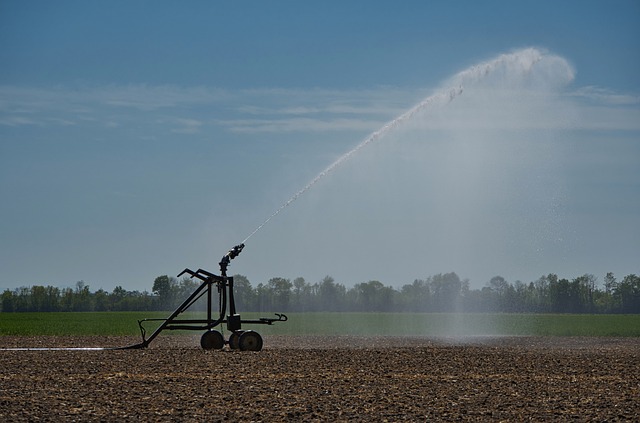 conservation, water, save, efficiency, rainwater, irrigation