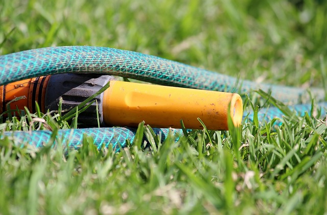 conservation, water, save, efficiency, rainwater, irrigation