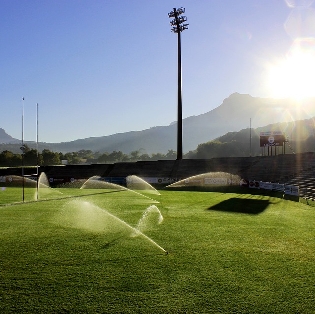 conservation, water, save, efficiency, rainwater, irrigation