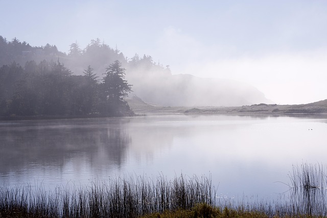 contempt, court, compliance, order, attorney, Oregon