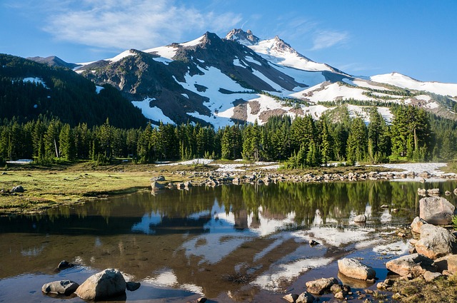 contempt, court, compliance, order, attorney, Oregon