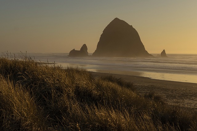 contempt, court, compliance, order, attorney, Oregon