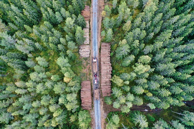 Cottage, mining, history, railroad, logging, landmarks
