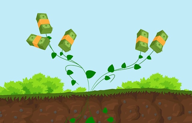 credit, finance, business, funding, liquidity, cash