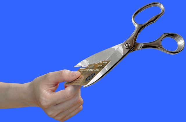 Credit, finance, business, scores, loan, rating
