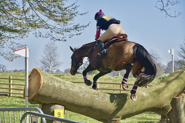 cross-country