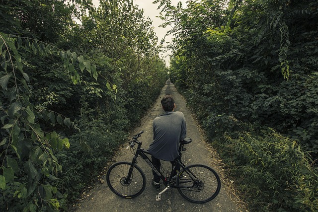 cycling, bike, trail, nature, road, adventure