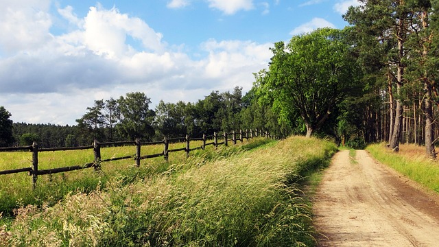 cycling, bike, trail, nature, road, adventure